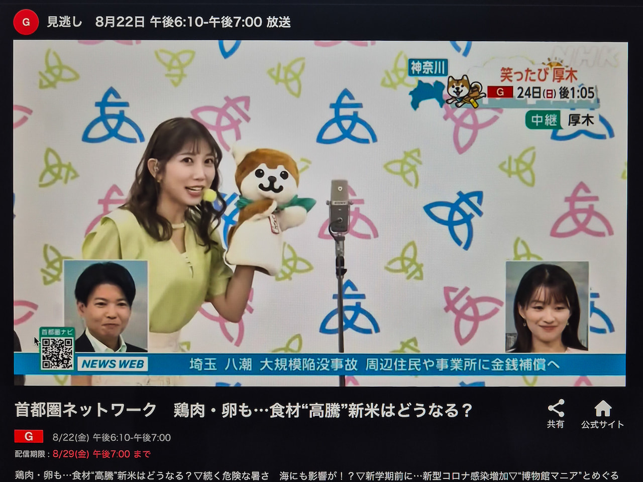 首都圏ネットワーク8/22(金)でバックパネルが写っている画像2